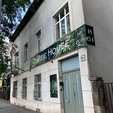 Fig Tree House Lägenhet Budapest Exteriör bild